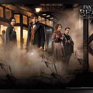 Fantastic Beasts Promotional Poster 22x34